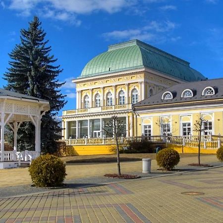Penzion U Modreho Slona Františkovy Lázně المظهر الخارجي الصورة