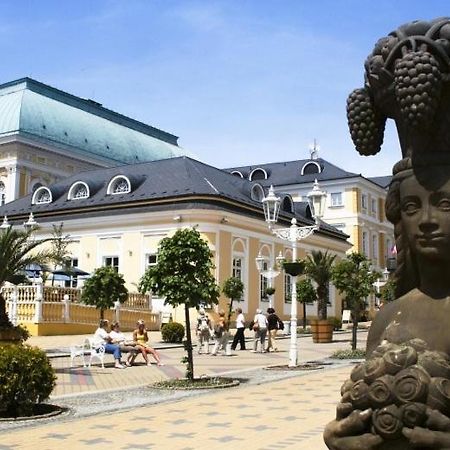 Penzion U Modreho Slona Františkovy Lázně المظهر الخارجي الصورة
